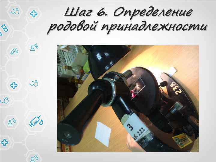 Шаг 6. Определение родовой принадлежности 