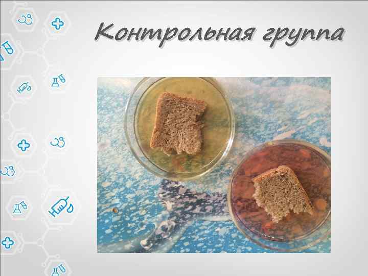 Контрольная группа 