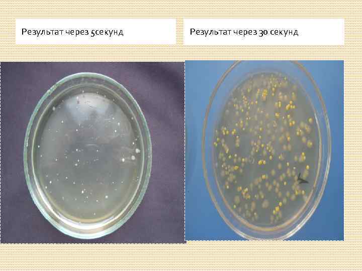 Результат через 5 секунд Результат через 30 секунд 