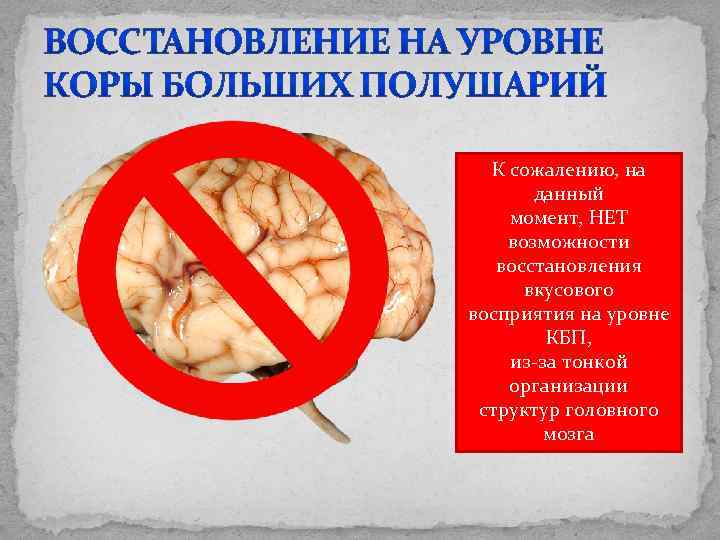 К сожалению, на данный момент, НЕТ возможности восстановления вкусового восприятия на уровне КБП, из-за