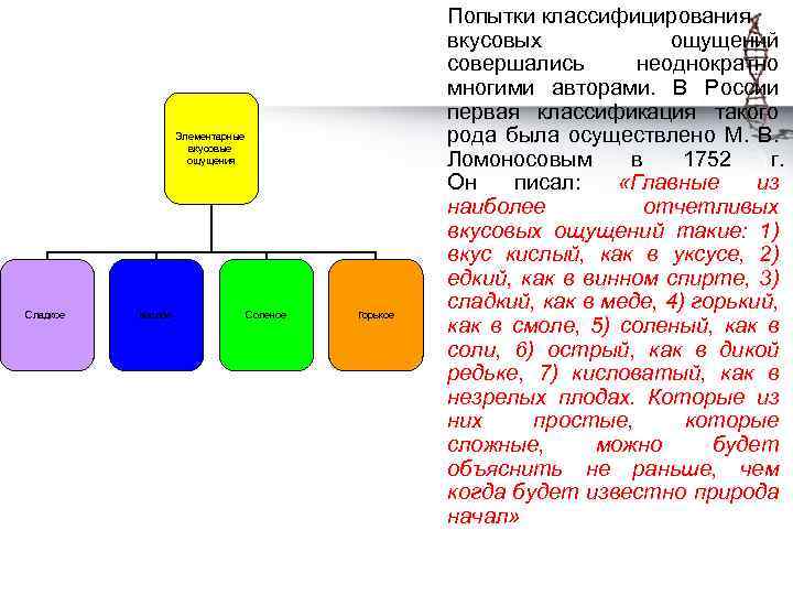 Элементарные вкусовые ощущения Сладкое Кислое Соленое Горькое Попытки классифицирования вкусовых ощущений совершались неоднократно многими