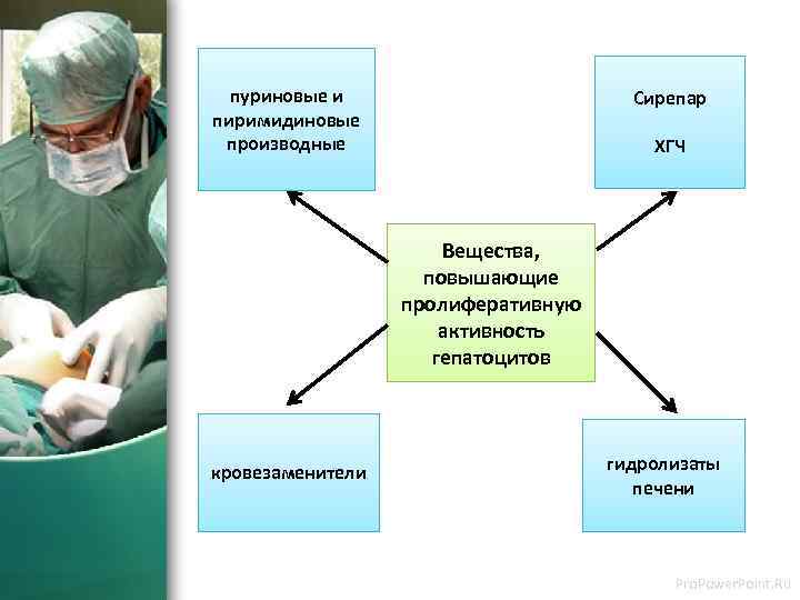пуриновые и пиримидиновые производные Сирепар ХГЧ Вещества, повышающие пролиферативную активность гепатоцитов кровезаменители гидролизаты печени
