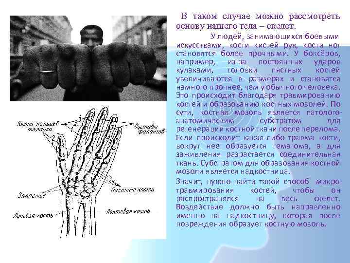 В таком случае можно рассмотреть основу нашего тела – скелет. У людей, занимающихся боевыми