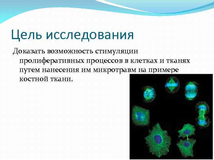 Подтверждающие исследования