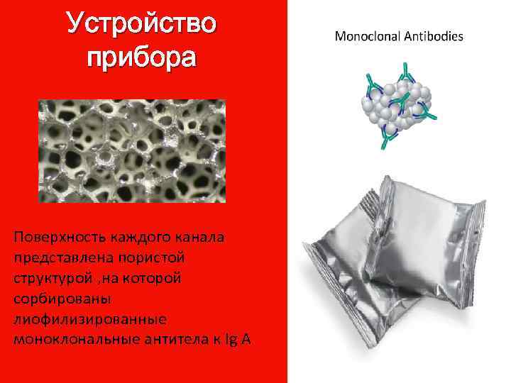 Устройство прибора Поверхность каждого канала представлена пористой структурой , на которой сорбированы лиофилизированные моноклональные