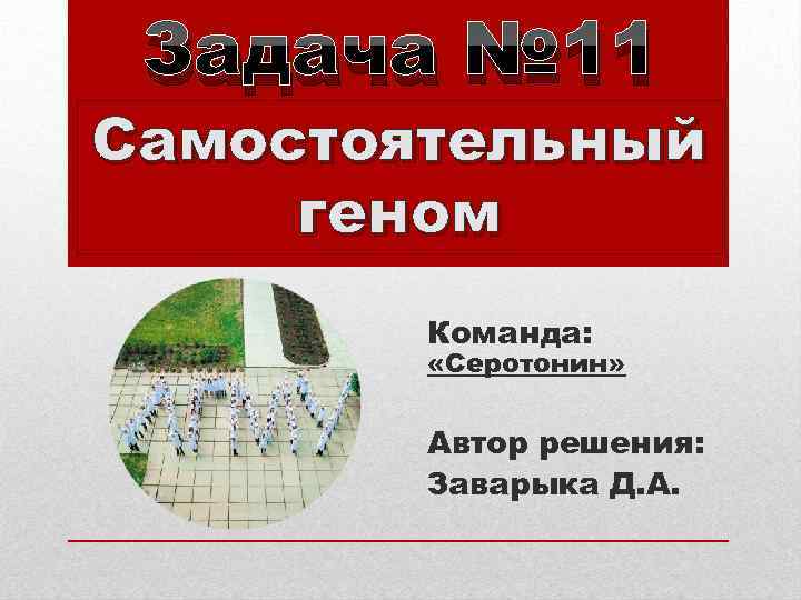 Задача № 11 Самостоятельный геном Команда: «Серотонин» Автор решения: Заварыка Д. А. 