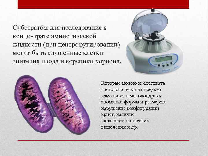 Субстратом для исследования в концентрате амниотической жидкости (при центрофугировании) могут быть слущенные клетки эпителия
