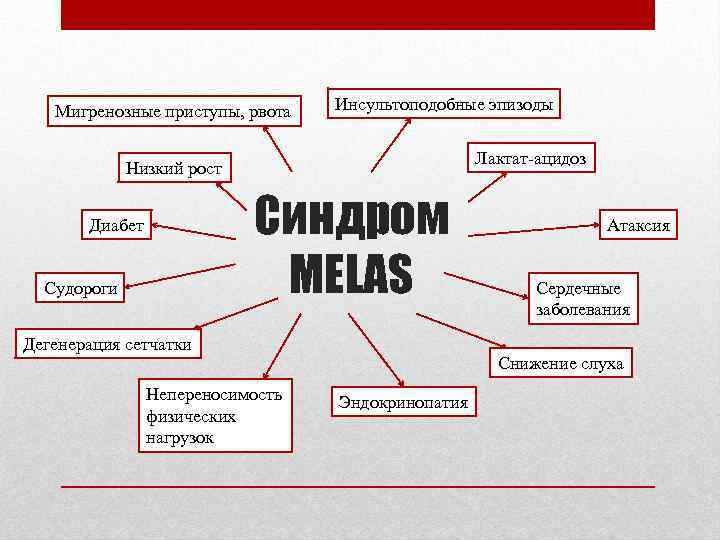 Мигренозные приступы, рвота Инсультоподобные эпизоды Лактат-ацидоз Низкий рост Синдром MELAS Диабет Судороги Дегенерация сетчатки