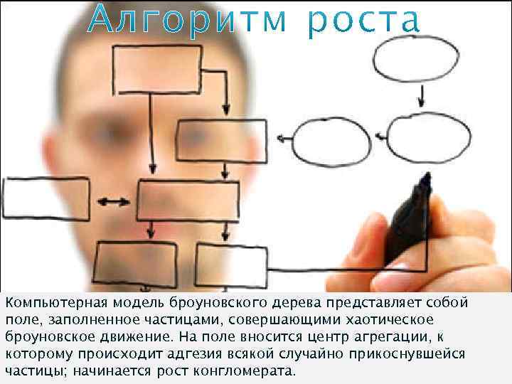 Компьютерная модель броуновского дерева представляет собой поле, заполненное частицами, совершающими хаотическое броуновское движение. На