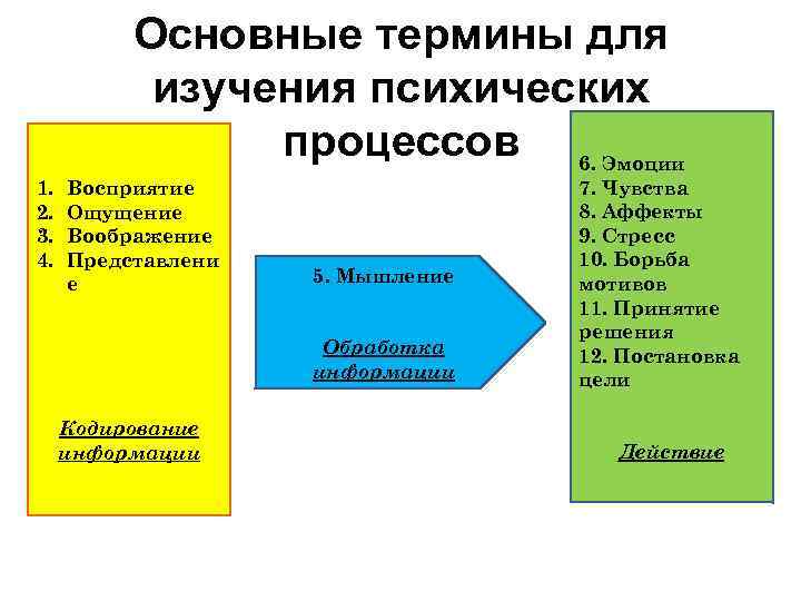 Основные термины для изучения психических процессов 6. Эмоции 1. 2. 3. 4. Восприятие Ощущение