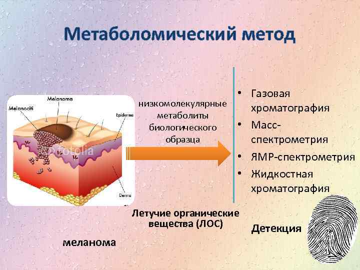 Метаболомический метод • Газовая низкомолекулярные хроматография метаболиты • Массбиологического образца спектрометрия • ЯМР-спектрометрия •