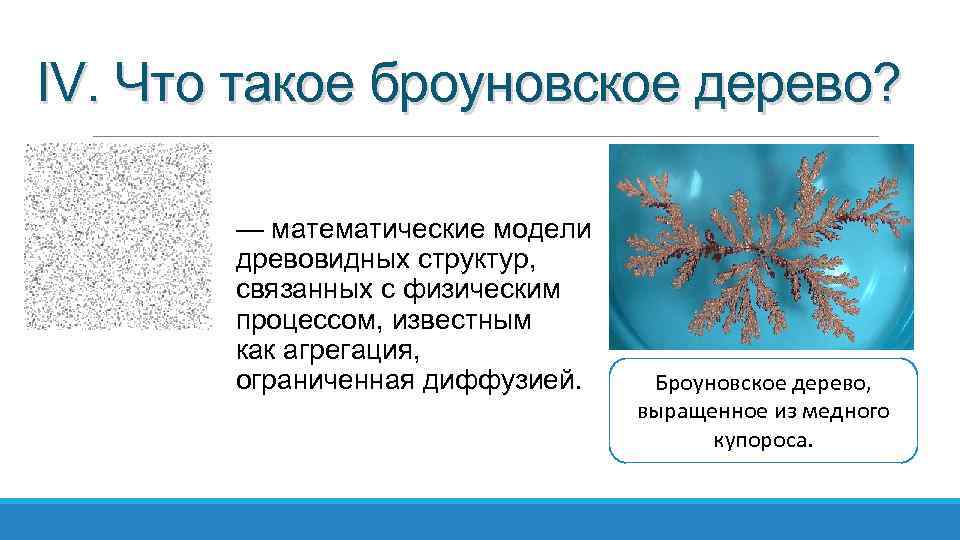 IV. Что такое броуновское дерево? — математические модели древовидных структур, связанных с физическим процессом,