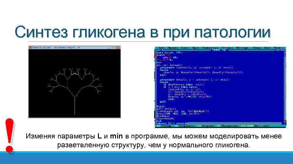 Синтез гликогена в при патологии ! Изменяя параметры L и min в программе, мы