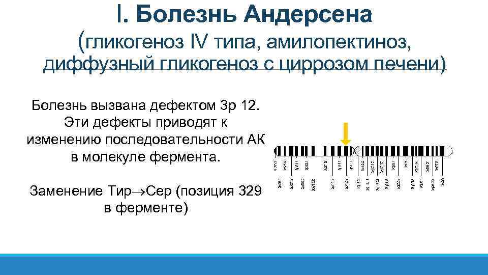 I. Болезнь Андерсена (гликогеноз IV типа, амилопектиноз, диффузный гликогеноз с циррозом печени) Болезнь вызвана