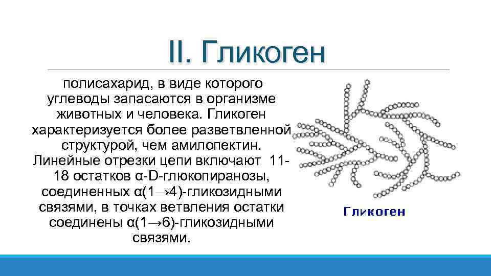 II. Гликоген полисахарид, в виде которого углеводы запасаются в организме животных и человека. Гликоген