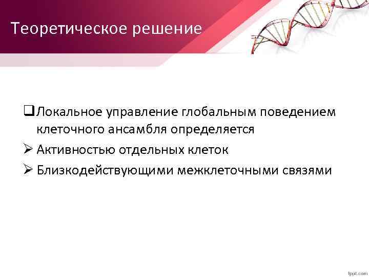 Теоретическое решение q Локальное управление глобальным поведением клеточного ансамбля определяется Ø Активностью отдельных клеток