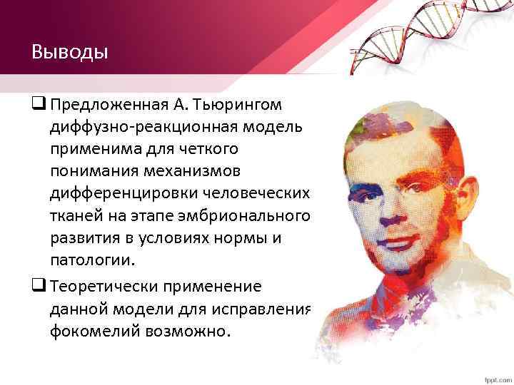 Выводы q Предложенная А. Тьюрингом диффузно-реакционная модель применима для четкого понимания механизмов дифференцировки человеческих