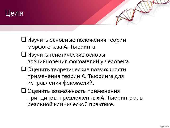 Цели q Изучить основные положения теории морфогенеза А. Тьюринга. q Изучить генетические основы возникновения