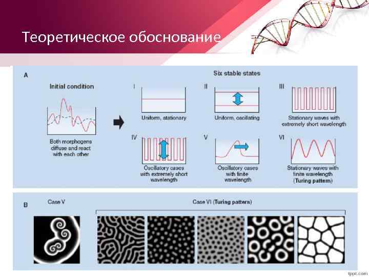 Теоретическое обоснование 