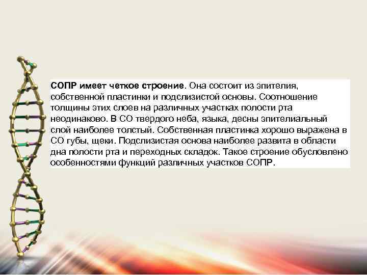 СОПР имеет четкое строение. Она состоит из эпителия, собственной пластинки и подслизистой основы. Соотношение