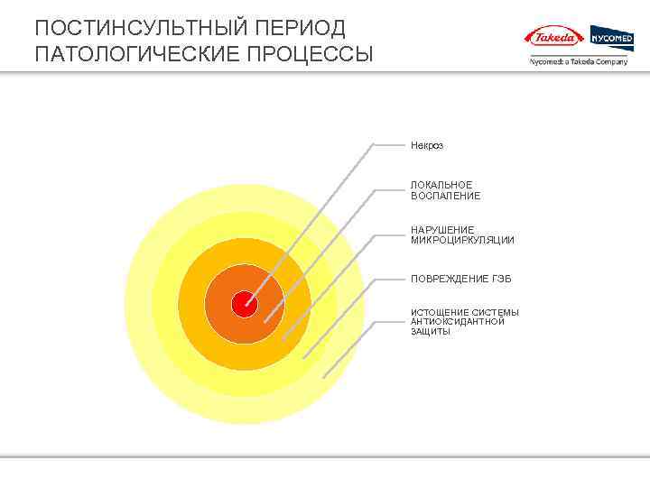 ПОСТИНСУЛЬТНЫЙ ПЕРИОД ПАТОЛОГИЧЕСКИЕ ПРОЦЕССЫ Некроз ЛОКАЛЬНОЕ ВОСПАЛЕНИЕ НАРУШЕНИЕ МИКРОЦИРКУЛЯЦИИ ПОВРЕЖДЕНИЕ ГЭБ ИСТОЩЕНИЕ СИСТЕМЫ АНТИОКСИДАНТНОЙ