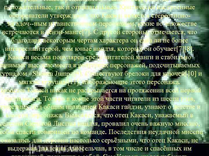 Среди отзывов рецензентов о Какаси встречаются как положительные, так и отрицательные. Критически настроенные обозреватели