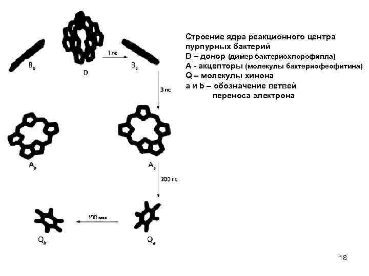 Конечный акцептор электронов