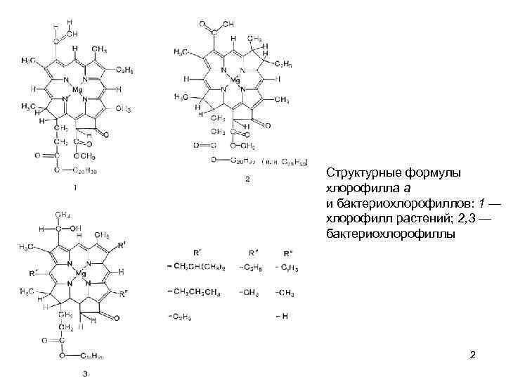 Окисление хлорофилла. Структурная формула хлорофилла а и б. Хлорофилл формула. Хлорофилл структурная формула. Хлорофилл схема.