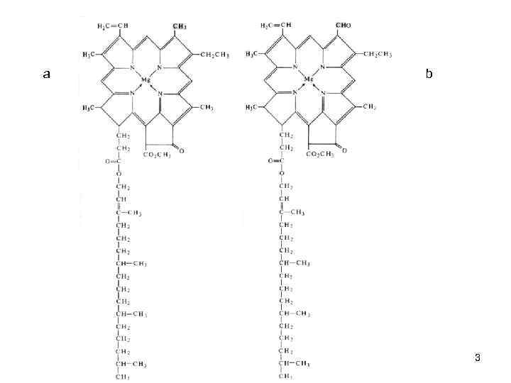 Хлорофилл 1. Хлорофилл структурная формула. Структурная формула хлорофилла а и b. Хлорофилл б структурная формула. Хлорофилл с1 формула.