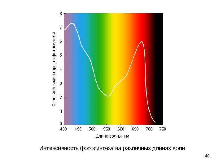 Зависимость интенсивности излучения от длины волны