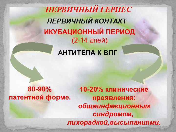 ПЕРВИЧНЫЙ ГЕРПЕС ПЕРВИЧНЫЙ КОНТАКТ ИКУБАЦИОННЫЙ ПЕРИОД (2 -14 дней) АНТИТЕЛА К ВПГ 80 -90%