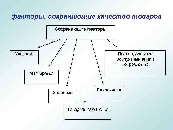 На формирование кт изображения оказывает непосредственное влияние