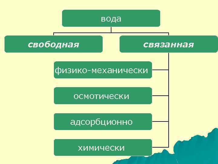 Связанная вода