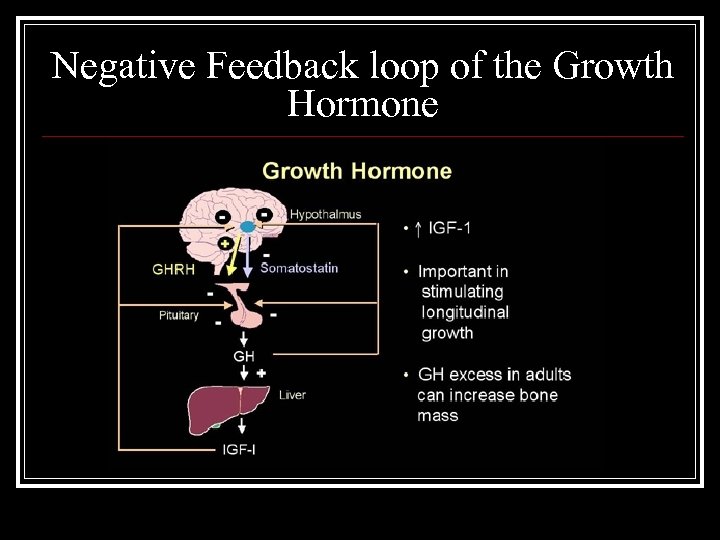 Negative Feedback loop of the Growth Hormone 
