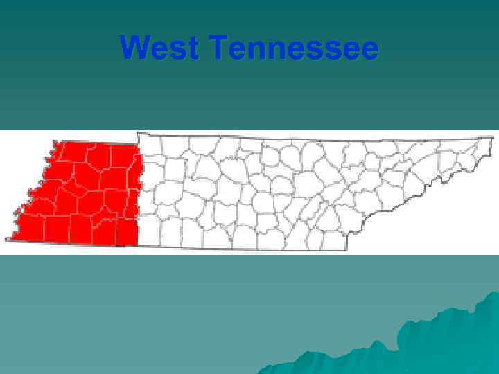 West Tennessee 