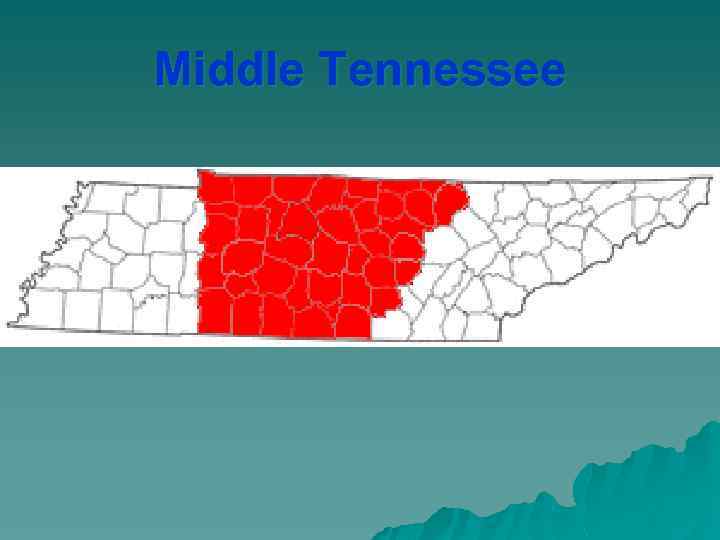 Middle Tennessee 