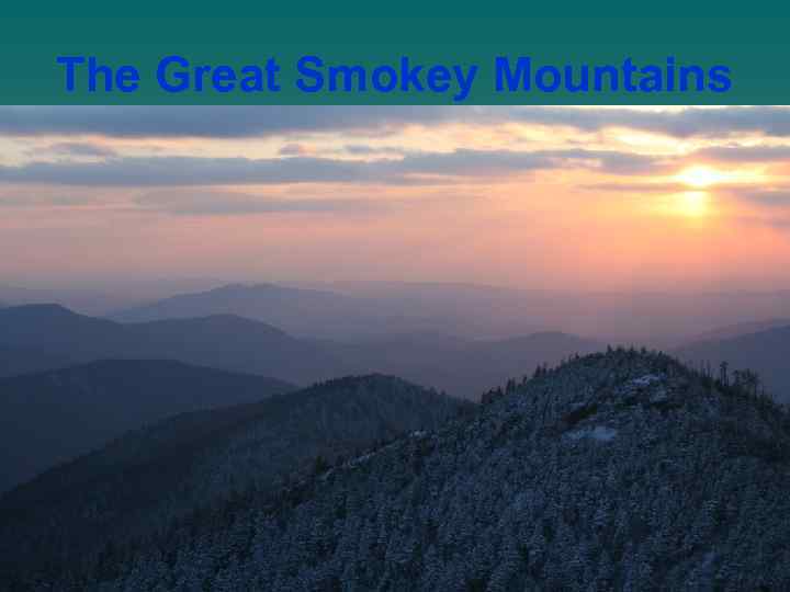 The Great Smokey Mountains 