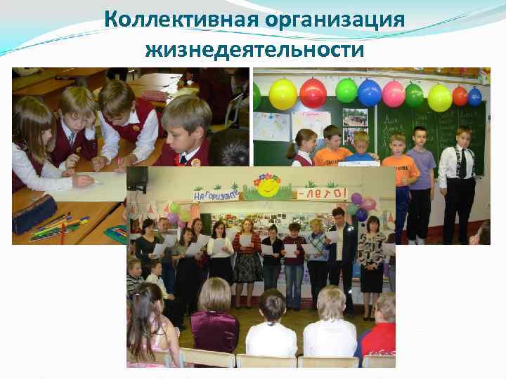 Коллективная организация жизнедеятельности 