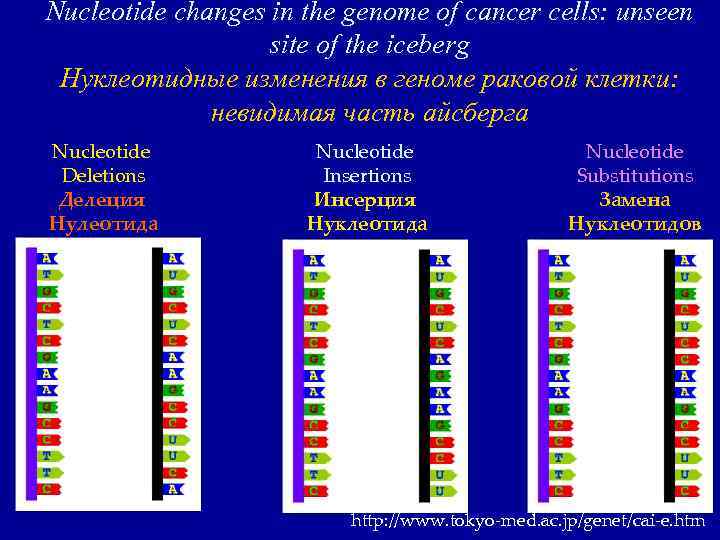 Nucleotide changes in the genome of cancer cells: unseen site of the iceberg Нуклеотидные