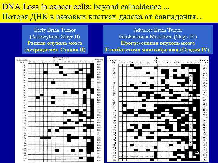 DNA Loss in cancer cells: beyond coincidence. . . Потеря ДНК в раковых клетках