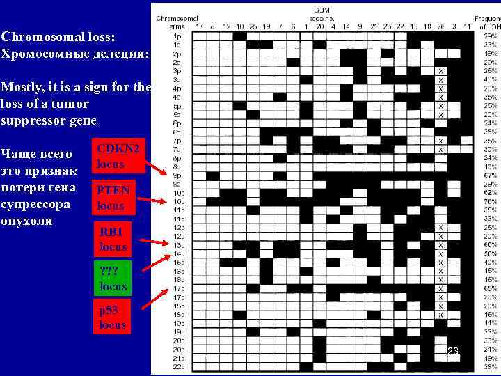 Chromosomal loss: Хромосомные делеции: Mostly, it is a sign for the loss of a