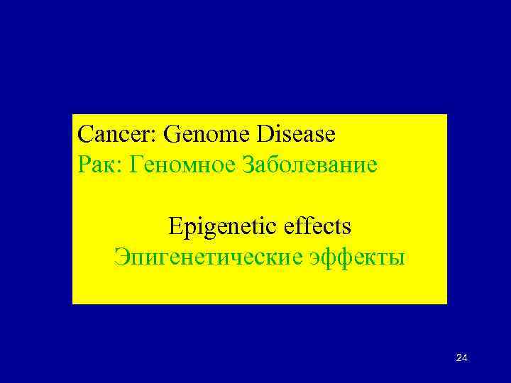 Cancer: Genome Disease Рак: Геномное Заболевание Epigenetic effects Эпигенетические эффекты 24 
