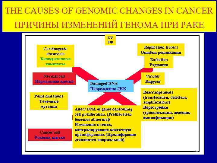 THE CAUSES OF GENOMIC CHANGES IN CANCER ПРИЧИНЫ ИЗМЕНЕНИЙ ГЕНОМА ПРИ РАКЕ UV УФ