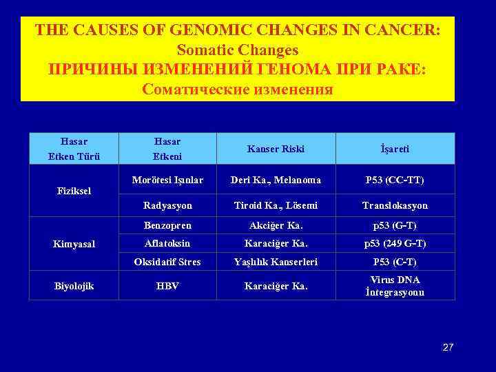 THE CAUSES OF GENOMIC CHANGES IN CANCER: Somatic Changes ПРИЧИНЫ ИЗМЕНЕНИЙ ГЕНОМА ПРИ РАКЕ: