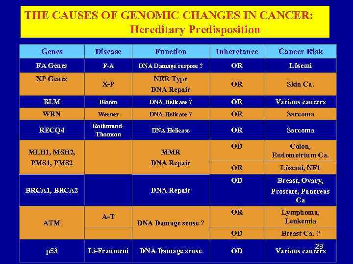 THE CAUSES OF GENOMIC CHANGES IN CANCER: Hereditary Predisposition Genes Disease Function Inheretance Cancer