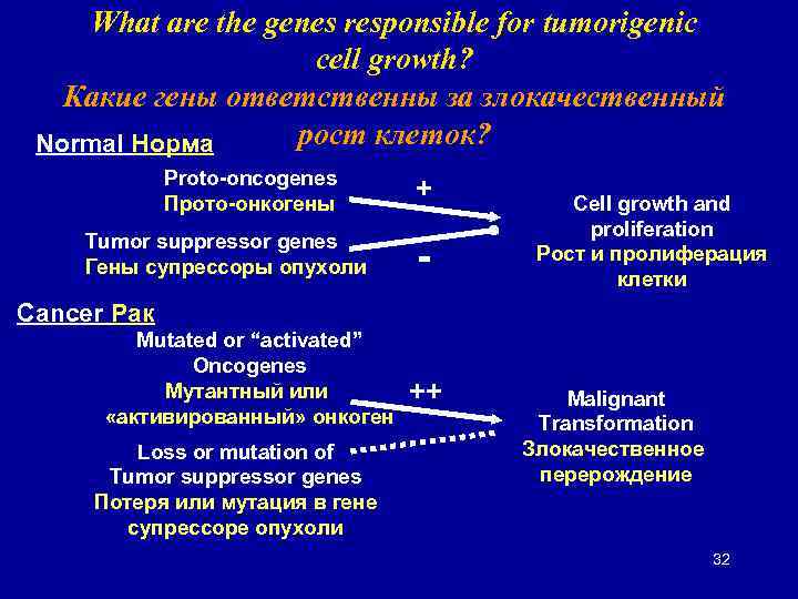 What are the genes responsible for tumorigenic cell growth? Какие гены ответственны за злокачественный