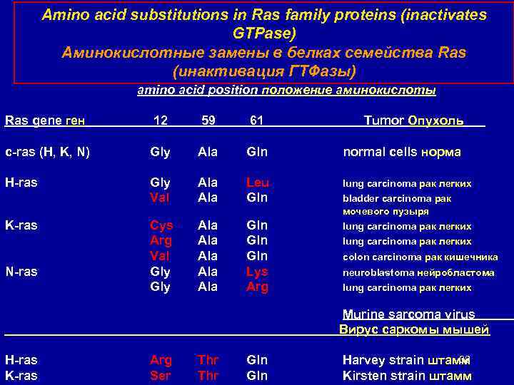 Amino acid substitutions in Ras family proteins (inactivates GTPase) Аминокислотные замены в белках семейства