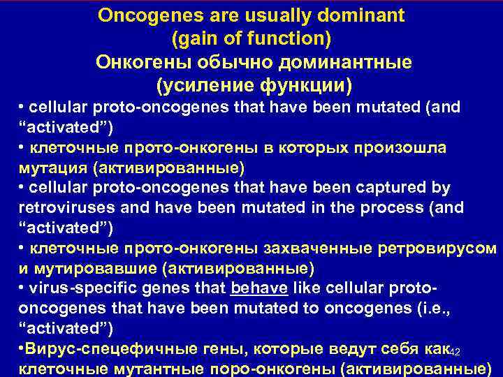 Oncogenes are usually dominant (gain of function) Онкогены обычно доминантные (усиление функции) • cellular