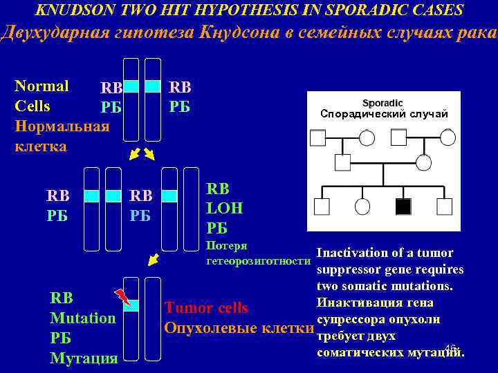 KNUDSON TWO HIT HYPOTHESIS IN SPORADIC CASES Двухударная гипотеза Кнудсона в семейных случаях рака