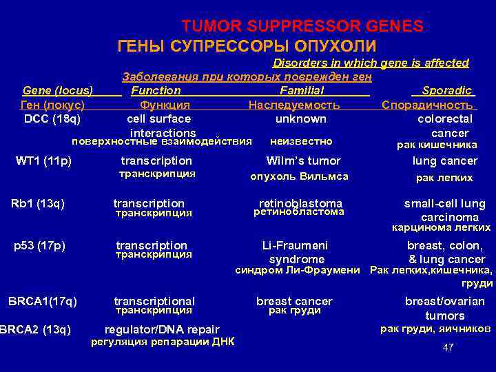 TUMOR SUPPRESSOR GENES ГЕНЫ СУПРЕССОРЫ ОПУХОЛИ Gene (locus) Ген (локус) DCC (18 q) Disorders